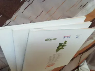 Libros de cocina tradicional malagueña ( 3 libros.