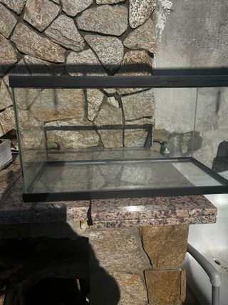 Pecera de cristal con marco negro