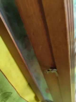 Reloj de pared con cuerda y sonería