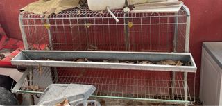Jaula para gallinas ponedoras