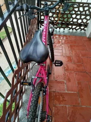 Bicicleta rosa