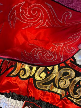 Pantalones Cortos Muay Thai Twins Special