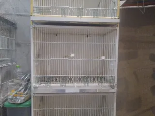 Modulo di gabbie per uccelli