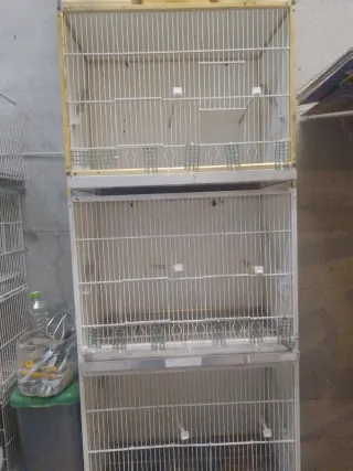 Modulo di gabbie per uccelli