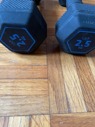 Mancuernas 2.5 kg (5.5 lb) Corength