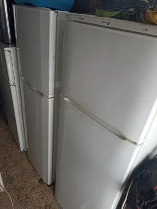 Frigoriferi Fagor Lg in vendita