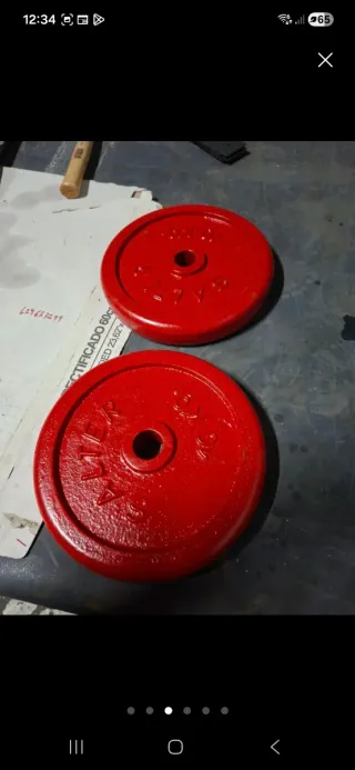 2 Discos Salter 10kg Pesas Gimnasio