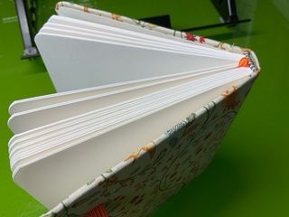 Bolck de acuarela de lechuza y flores