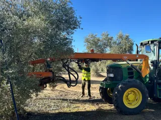 Vibrador frontal para olivos