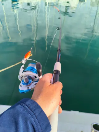 Equipo de Pesca Kali Vigor Nuevo