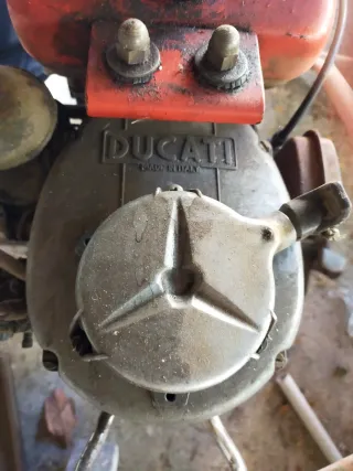 Motozappa Ducati Pulce 3cv