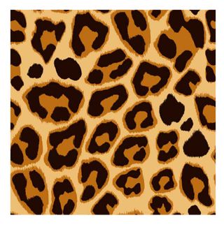 Tejido Hidrófugo Antibacteriano Tromso Animal Pr