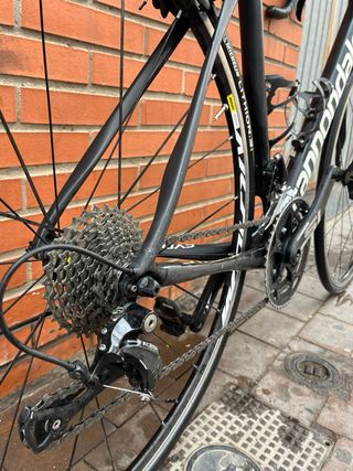 Cannondale Synapse Carbon