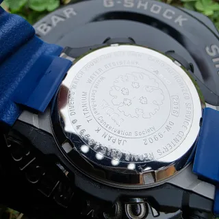 Casio G-Shock Frogman DW-9902 Titanio