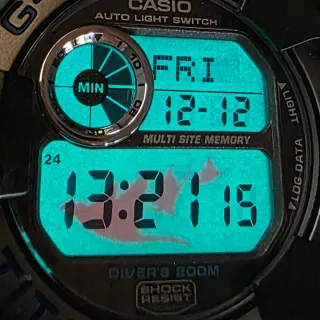 Casio G-Shock Frogman DW-9902 Titanio