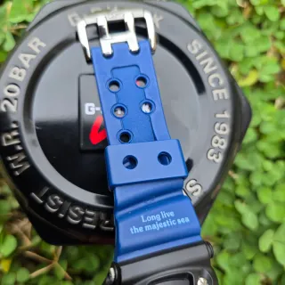 Casio G-Shock Frogman DW-9902 Titanio