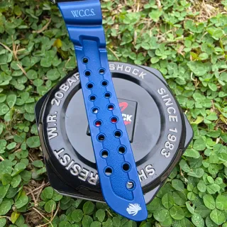 Casio G-Shock Frogman DW-9902 Titanio