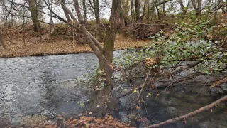 Bicicleta MTB Mérida