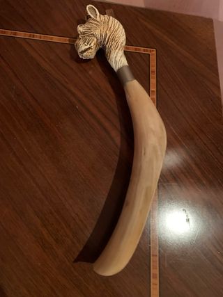 Calzante vintage con testa di zebra