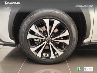 Lexus NX300h PREMIUM 2021 REF 9693