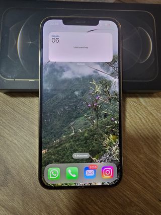 iPhone 12 Pro Max 256GB Oro