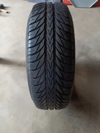 Neumático Michelin Pilot Exalto 195/65 R15