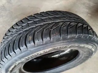 Neumático Michelin Pilot Exalto 195/65 R15