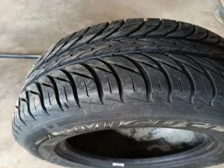 Neumático Michelin Pilot Exalto 195/65 R15