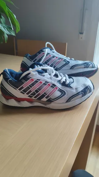 Zapatillas deportivas
