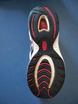 Zapatillas deportivas