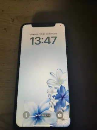 iPhone XS Plata