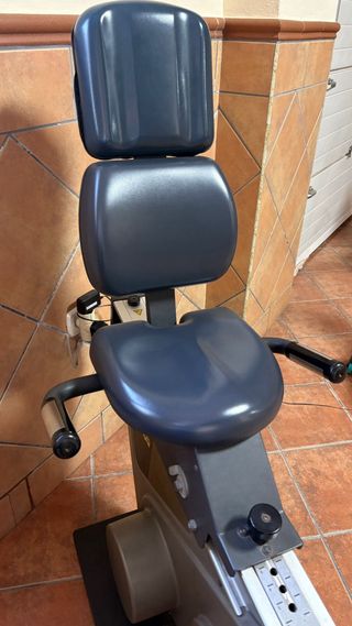 Bicicleta Technogym Recline 600 XPro (averiada)