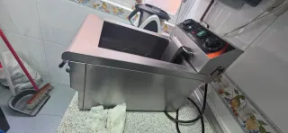 Vendo Freidora Eléctrica Industrial