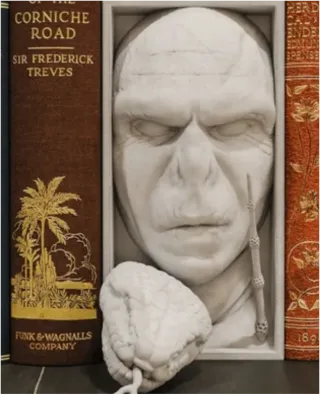 Set per Gorka. Supporto libri Voldemort.