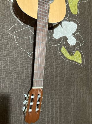 Guitarra Española Rocío Nº 20