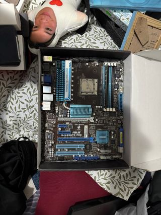 Placa Base ASUS M4A89GTD PRO + Phenom II X6 + 8GB