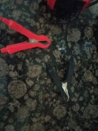 Cargador Batería Inteligente 12V Coche Moto Barco