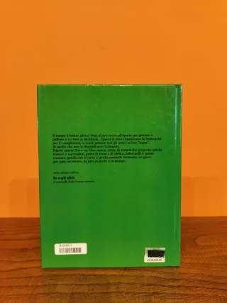 Guide Disney - Giochi in casa vintage