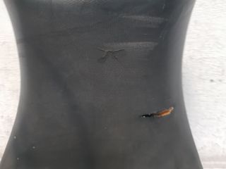 Asiento Delantero Suzuki SV 650