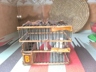 Jaula percha para pájaros silvestres