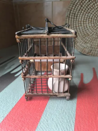 Jaula percha para pájaros silvestres