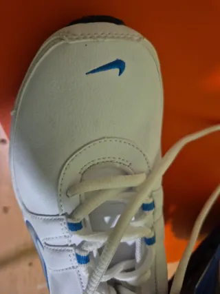 Zapatillas Nike Blancas y Azules