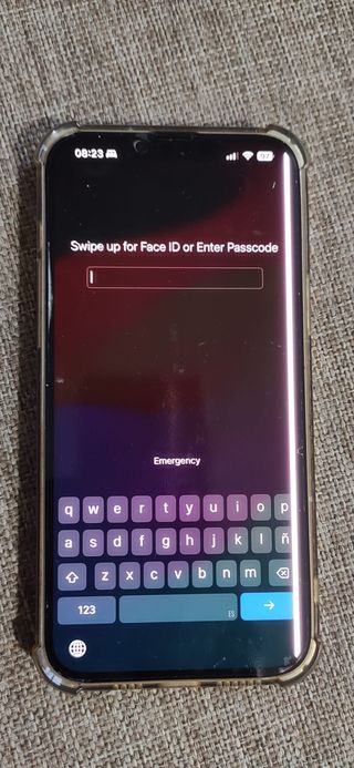 Schermo iPhone 13 Pro Max (Apple) con difetto