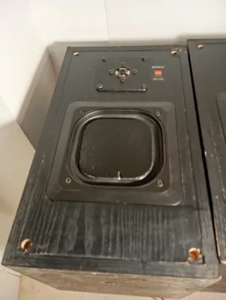 Altavoces Sony APM 12ES solo recogida