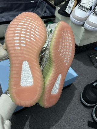 Adidas Yeezy 350 Beige/Verde