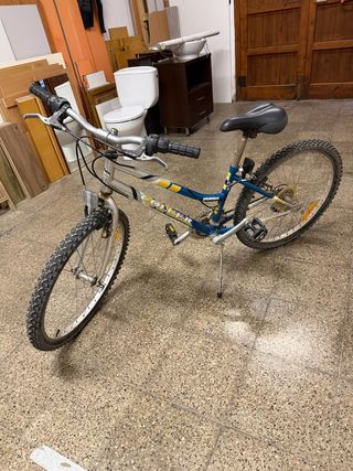 Bicicleta de montaña plateada