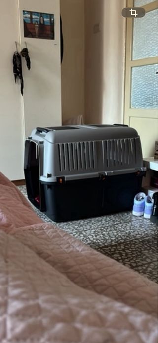 Transportín Perro Negro y Gris