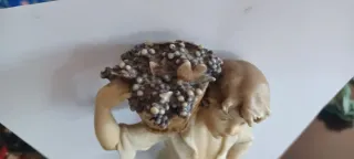 Statuetta  Florence Giuseppe Armani,  anni'80