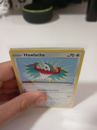 Lote Cartas Pokémon TCG + Plástico