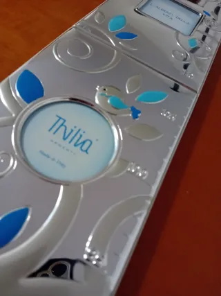 Metro nascita Thilia albero della vita porta foto